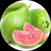 Apple Guva