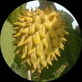 62f744b9 8fc1 4542 b17b b1aef758bb3b