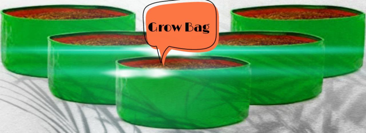Grow Bag