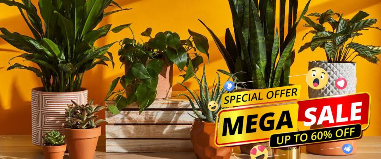 Mega Sales