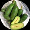 Seedless avocado