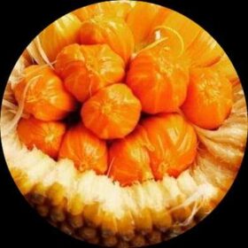2f526af3 074c 400f 9137